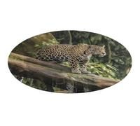 Jaguar Cat on Tree Trunk Waterfall Round Rugs Super Absorbent Coral Velvet Area Rug Non Slip Floor Mat Fashion Indoor Circle Carpets Exquisite Floor Carpet for Home Decor Carpet 60 * 60cm