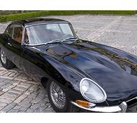 Jaguar Early History