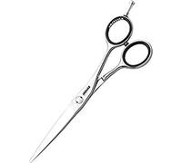 Jaguar Gold Line Dynasty E Hairdressing Scissors, 6-Inch Length, 0.1 kg