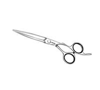 Jaguar Gold Line Heron Hairdressing Scissors, 5.5-Inch Length, 0.1 kg, 4030363125252