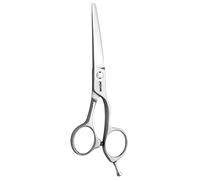 JAGUAR Gold Line Xenox Hairdressing Scissors, 5.5-Inch Length, 0.09 kg 4030363005363
