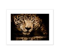 Jaguar Head Big Cat Canvas Wall Art Print