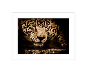 Jaguar Head Big Cat Canvas Wall Art Print