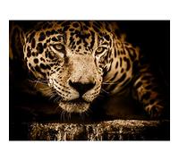 Jaguar Head Big Cat Large Canvas Wall Art Print