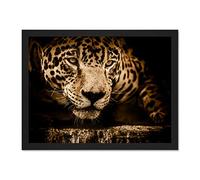 Jaguar Head Big Cat Large Framed Art Print Poster Wall Decor 18x24 inch