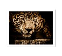 Jaguar Head Big Cat Large Framed Art Print Poster Wall Decor 18x24 inch