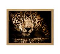 Jaguar Head Big Cat Large Framed Art Print Poster Wall Decor 18x24 inch