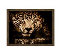Jaguar Head Big Cat Large Framed Art Print Poster Wall Decor 18x24 inch