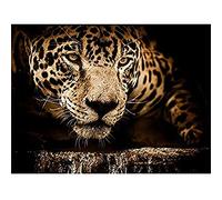 Jaguar Head Big Cat Wall Art Print
