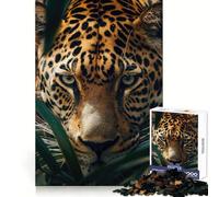 Jaguar In The Jungle 1000 Piece Jigsaw Puzzles for Teenagers Brain Think Snug Connection Real Challenge Christmas Idea (38x52cm)