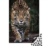 Jaguar Jigsaw Puzzle 1000 Piece Jigsaw Puzzle for Adults Jungle 1000pc Puzzle Game Set Paper Relaxing Home Gift 38x26cm/1000pcs