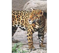 Jaguar Notebook: Unique Black Panther Jaguar Journal, Notebook for animal and big cats lovers (College Ruled) great for kids, boys, girls, to writing ... lists, organizing and braindstorming.