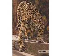 Jaguar Notebook: Unique Black Panther Jaguar Journal, Notebook for animal and big cats lovers (College Ruled) great for kids, boys, girls, to writing ... lists, organizing and braindstorming.