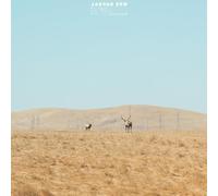 JAGUAR SUN - For You (Blue/Black Swirl Vinyl) [VINYL]