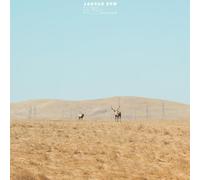 JAGUAR SUN - For You (Blue/Black Swirl Vinyl)