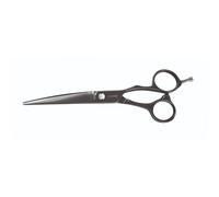 Jaguar Gold Line Xenox Titan Hairdressing Scissors, 6-Inch Length, 0.09 kg