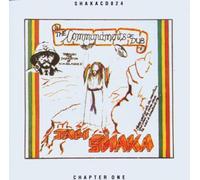 Jah Shaka - Commandments Of Dub 1