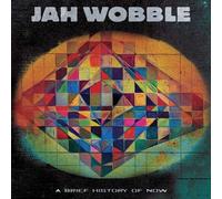 Jah Wobble : A Brief History of Now VINYL 12" Album Coloured Vinyl (2023)