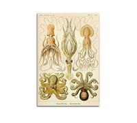 JAHER Ernst Haeckel Paintings Artworks- (Octopus Biology) Printing Posters Gifts Canvas Painting Wall Art Decorative Picture Prints Modern Decor 16x24inch(40x60cm)