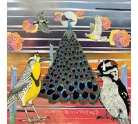 JAIMIE BRANCH - FLY OR DIE FLY OR DIE FLY OR DIE ((WORLD WAR)) [VINYL]