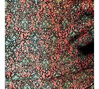 JAIMIE BRANCH - FLY OR DIE LIVE