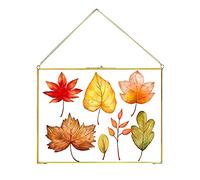Jajamy Pressed Flower Glass Picture Frame, Glass Brass Photo Frame for DIY Dried Flowers Plant Wall Hanging Decor Display Specimen Gold Vintage Frame Geometric Ornament 8x12 Inches