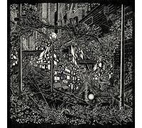 Jake Long City Swamp LP Vinyl NS0054LP NEW