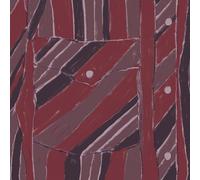 Jake Xerxes Fussell Rebuilding (Vinyl) 12" Album (US IMPORT)