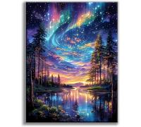 Jakener Aurora Cross Stitch Kits for Adults Beginners, Starry Sky Stamped Embroidery Kits for Adults, 11CT Counted Embroidery Needlepoint Kits Fun DIY Crafts Home Decor 12x16 Inch