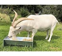 Jake's Farm Yard Galvanised Feeding Trough for Goats, Sheep and More - Free Standing Dish Style Feeder Suitable for 1-2 Animals - Strong and Robust (600 x 190 x 270 mm)