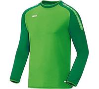JAKO Champ Men's Sweat, mens, Sweat Champ, 8817, Soft green/sports green, 128