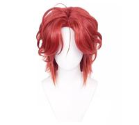JALopy Anime Wig Diabolik Lovers Laito Sakamaki Cosplay Wig,Short Red Brown Wig,Halloween Wig,For Party,Anime Show,Cosplay Event,Daily Wig