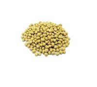 Jalpur Brand Soya Beans 100g - Whole, Raw & High-Protein Legumes for Cooking - Ideal for Soups, Stews, Soya Sauce, Oil, Vegan Recipes - Natural & Nutrient-Rich Superfood