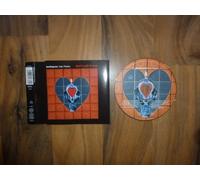 Don't call it love (feat. Plavka)