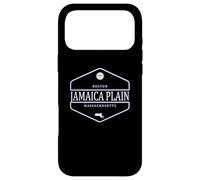Jamaica Plain Boston Massachusetts Case for iPhone 17 Pro Max