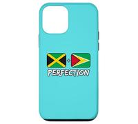 Jamaican And Guyanese Perfection Mix DNA Flag Heritage Case for iPhone 12 mini
