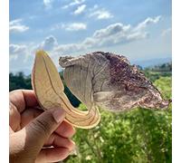 Jamaican Duck Flower Detox