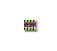 Jamara 4 Pieces Supercell Aa Alkaline Battery Pack, 1.5V