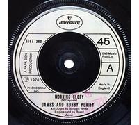 James & Bobby Purify - Morning Glory 7 Inch (7" Vinyl 45) UK Mercury 1976