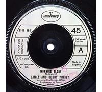 James & Bobby Purify - Morning Glory / Turning Back The Pages - James And Bobby Purify* 7" 45