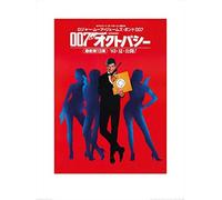 James Bond (Octopussy - Target) 60 x 80cm Art Print