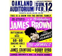 James Brown Concert Poster Tin Sign Wall Decor Metal Poster Retro Plaque Warning Sign Crafts for Office Cafe Club bar