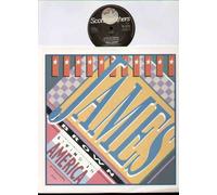 JAMES BROWN - JAMES BROWN - LIVING IN AMERICA - 12 inch vinyl