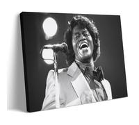 James_Brown Poster Decorative Painting Canvas Wall Art Living Room Poster Bedroom Painting Wall Art Picture Print Modern Family Room Decor 24 x 36 Inches (60 x 90 cm)
