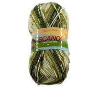 James C Brett Scandi Croftland Aran 150g Ball Acrylic/Wool Blend (A306 Fern)