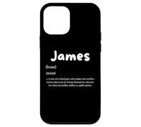 James Definition Personalized Name Custom Costume For James Case for iPhone 12 mini