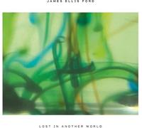 James Ellis Ford - Lost In Another World [VINYL]