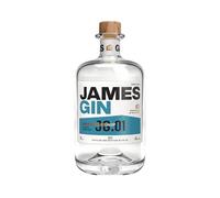 James Gin Asian Parsnip Gin | 40% ABV | 700ml | Distilled in the UK | Award Winning Gin by James May