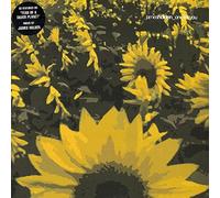 James Holden - One for You [DISC 2] [12" VINYL]