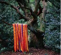 James Holden & The Animal Spirits - The Animal Spirits